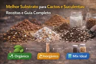 Tipos de Substratos para cactos e suculentas