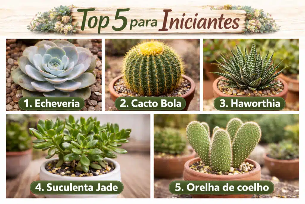 Cinco plantas para iniciantes em jardinagem.